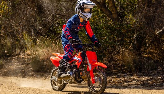 Win a Honda CRF50 and help raise money for Cancer Council Australia | Sh&tbox Rally